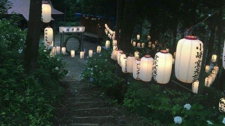 lights photo